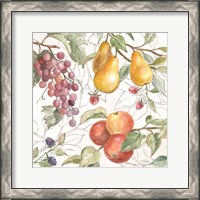 Framed 'In the Orchard VII' border=