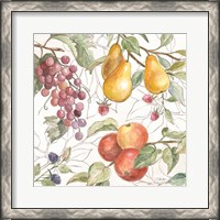 Framed 'In the Orchard VII' border=