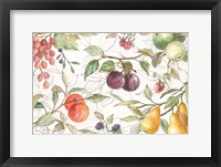 Framed In the Orchard VI