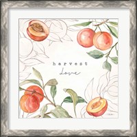 Framed 'In the Orchard V' border=