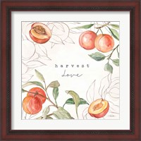 Framed 'In the Orchard V' border=