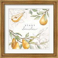 Framed 'In the Orchard III' border=