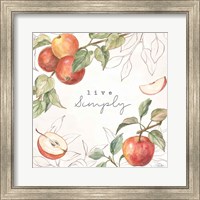 Framed 'In the Orchard II' border=