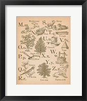 Vintage Alphabet II Framed Print