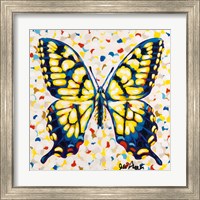 Framed 'Pop Butterfly I' border=