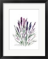 Framed Lavender