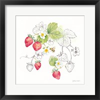 Berries and Bees II Framed Print