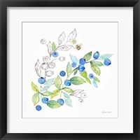 Berries and Bees IV Framed Print