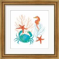 Framed 'Coral Aqua VII' border=