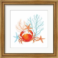 Framed 'Coral Aqua VIII' border=