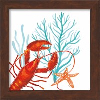 Framed 'Coral Aqua IX' border=