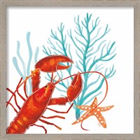 Framed 'Coral Aqua IX' border=