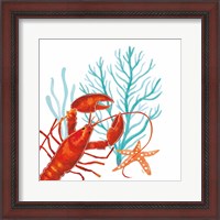 Framed 'Coral Aqua IX' border=