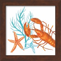 Framed 'Coral Aqua X' border=