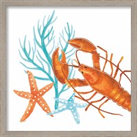 Framed 'Coral Aqua X' border=