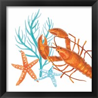 Framed 'Coral Aqua X' border=