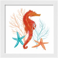 Framed 'Coral Aqua XI' border=