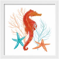 Framed 'Coral Aqua XI' border=