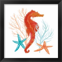 Framed 'Coral Aqua XI' border=