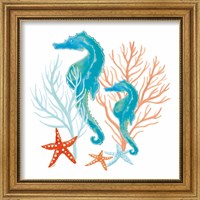 Framed 'Coral Aqua XII' border=