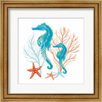 Framed 'Coral Aqua XII' border=