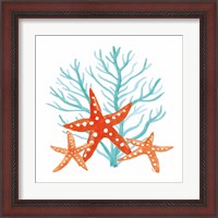 Framed 'Coral Aqua XIII' border=