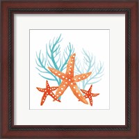 Framed 'Coral Aqua XIV' border=