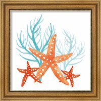 Framed 'Coral Aqua XIV' border=