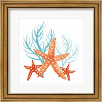 Framed 'Coral Aqua XIV' border=