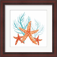 Framed 'Coral Aqua XIV' border=