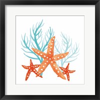 Framed 'Coral Aqua XIV' border=