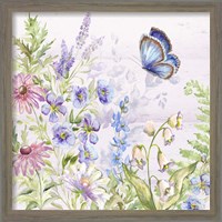 Framed 'Butterfly Trail II' border=