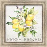 Framed 'Lemon Grove III' border=