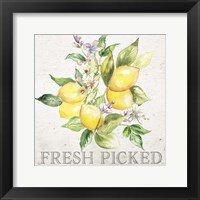 Framed Lemon Grove III