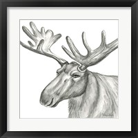 Framed 'Watercolor Pencil Forest I-Moose' border=