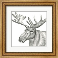 Framed 'Watercolor Pencil Forest I-Moose' border=