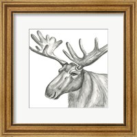 Framed 'Watercolor Pencil Forest I-Moose' border=