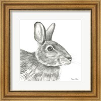 Framed 'Watercolor Pencil Forest II-Rabbit' border=