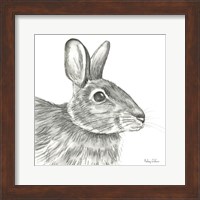 Framed 'Watercolor Pencil Forest II-Rabbit' border=