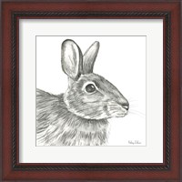 Framed 'Watercolor Pencil Forest II-Rabbit' border=