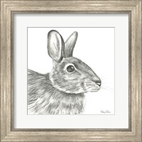 Framed 'Watercolor Pencil Forest II-Rabbit' border=