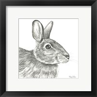 Framed 'Watercolor Pencil Forest II-Rabbit' border=