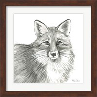 Framed 'Watercolor Pencil Forest III-Fox' border=