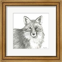 Framed 'Watercolor Pencil Forest III-Fox' border=