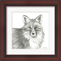 Framed 'Watercolor Pencil Forest III-Fox' border=