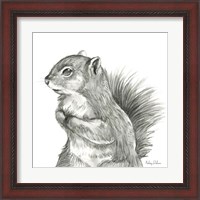 Framed 'Watercolor Pencil Forest IV-Squirrel' border=