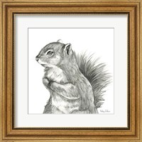 Framed 'Watercolor Pencil Forest IV-Squirrel' border=