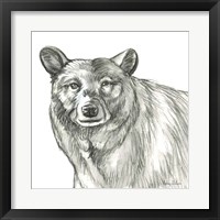 Framed 'Watercolor Pencil Forest V-Bear' border=