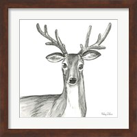 Framed 'Watercolor Pencil Forest VIII-Deer' border=