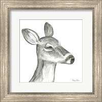 Framed 'Watercolor Pencil Forest IX-Fawn' border=